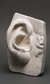 Esculturas Realistas a Partir del Cuerpo: replicas anatomicas en Yeso
