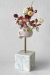 Dove nascono i fiori