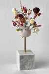 Dove nascono i fiori