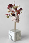 Dove nascono i fiori