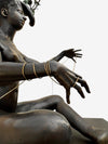 The guardian