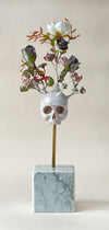 Dove nascono i fiori III