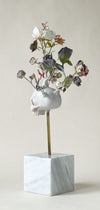 Dove nascono i fiori III