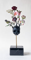 Dove nascono i fiori black I