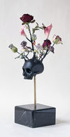 Dove nascono i fiori black I