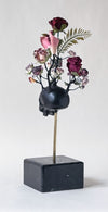 Dove nascono i fiori black I