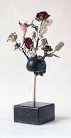Dove nascono i fiori black I