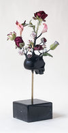 Dove nascono i fiori black I