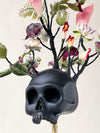 Dove nascono i fiori black I